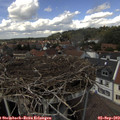 13_40-nest.jpg