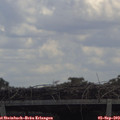 13_45-mast.jpg