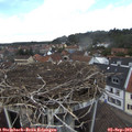 13_45-nest.jpg