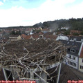 13_50-nest.jpg
