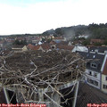 13_55-nest.jpg