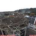 14_00-nest.jpg