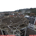 14_05-nest.jpg