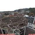 14_10-nest.jpg
