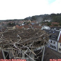 14_15-nest.jpg