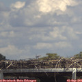 14_20-mast.jpg