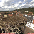 14_20-nest.jpg