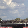 14_25-mast.jpg