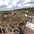 14_25-nest.jpg