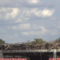 14_30-mast.jpg