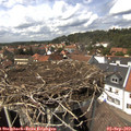 14_30-nest.jpg