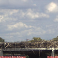 14_35-mast.jpg