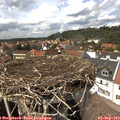 14_35-nest.jpg