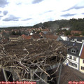 14_40-nest.jpg