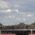 14_45-mast.jpg