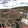 14_45-nest.jpg