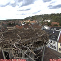 14_50-nest.jpg