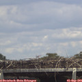 14_55-mast.jpg