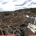 14_55-nest.jpg