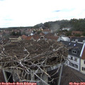 15_00-nest.jpg