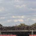 15_05-mast.jpg