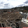 15_05-nest.jpg