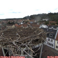 15_10-nest.jpg