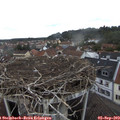 15_15-nest.jpg