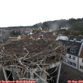 15_20-nest.jpg