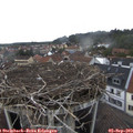 15_25-nest.jpg