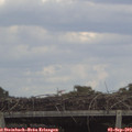 15_30-mast.jpg