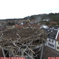 15_30-nest.jpg