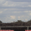 15_35-mast.jpg