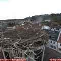 15_35-nest.jpg