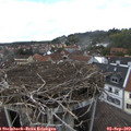 15_40-nest.jpg