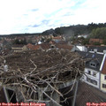 15_45-nest.jpg