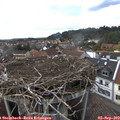15_55-nest.jpg