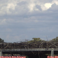 16_00-mast.jpg
