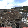 16_00-nest.jpg