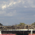 16_05-mast.jpg