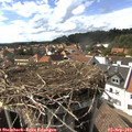 16_05-nest.jpg