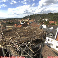 16_10-nest.jpg