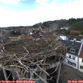 16_15-nest.jpg