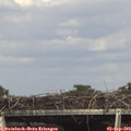16_20-mast.jpg