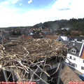 16_20-nest.jpg