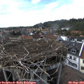 16_25-nest.jpg