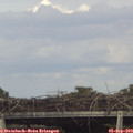 16_30-mast.jpg