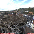 16_30-nest.jpg
