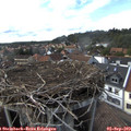 16_35-nest.jpg