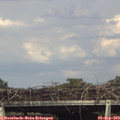 16_40-mast.jpg